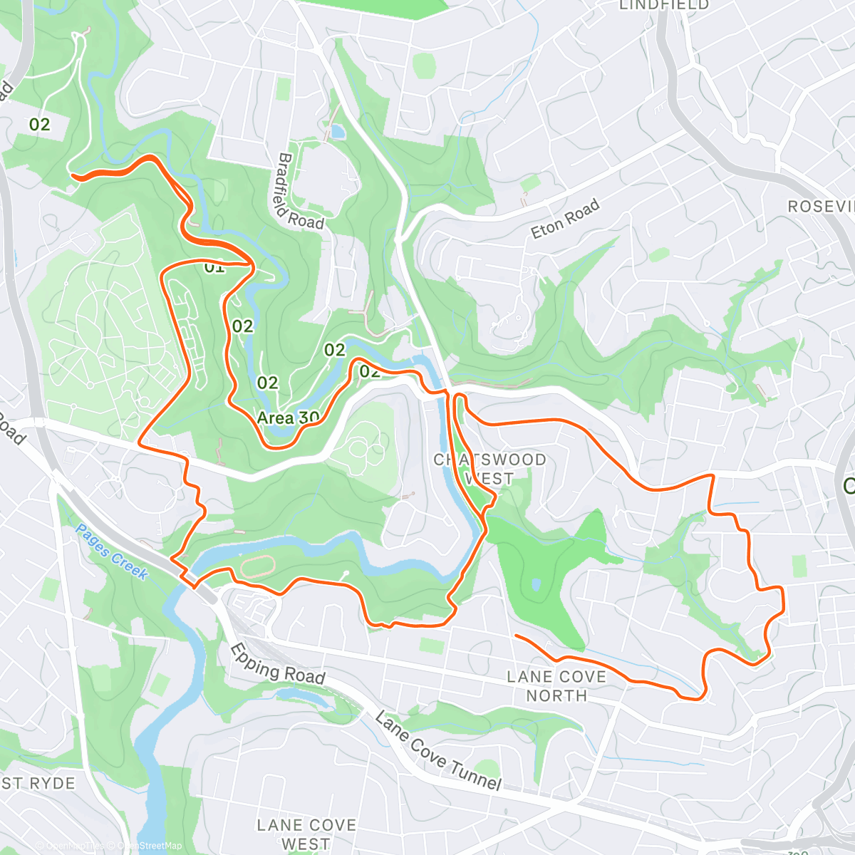Map of the activity, Loop with and without dawg