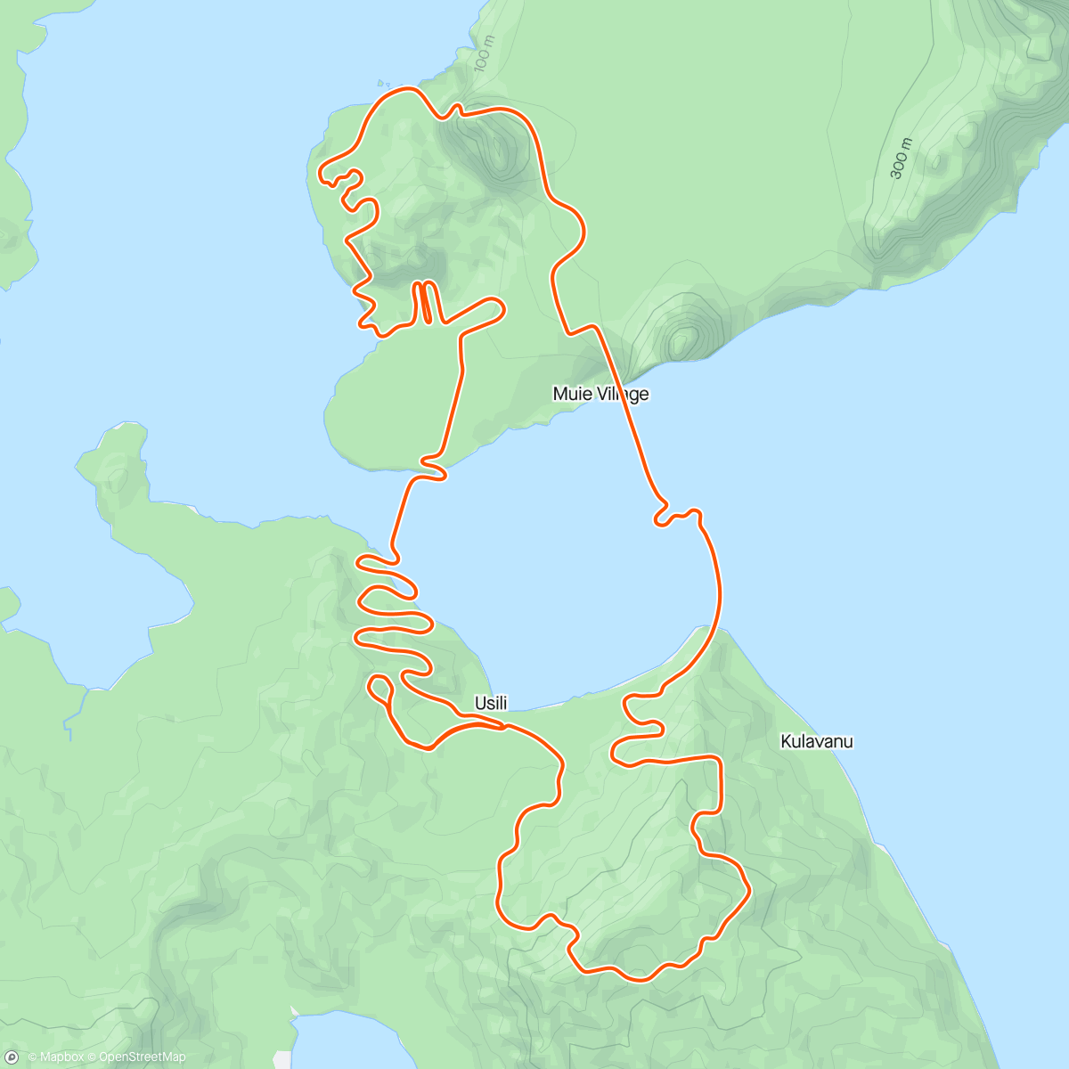 「Zwift - Mountain Route in Watopia」活動的地圖