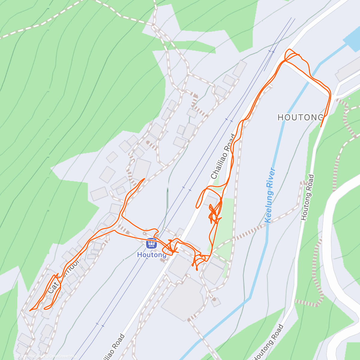 Map of the activity, Cat Village