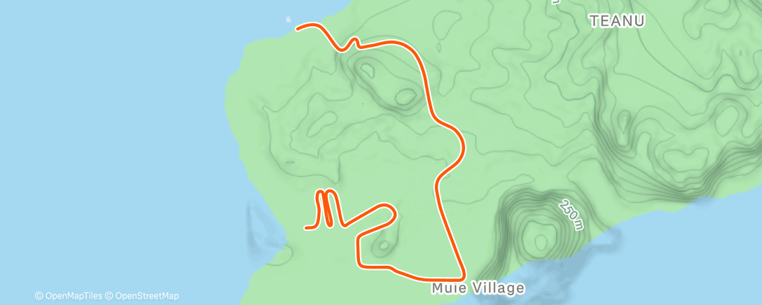 Карта физической активности (Zwift - Fartlek 5's on Flat Route in Watopia)