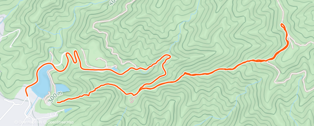 Карта физической активности (Afternoon Trail Run)