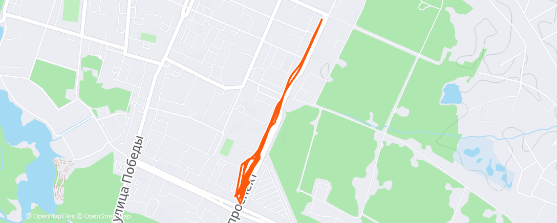 Карта физической активности (Evening Run)