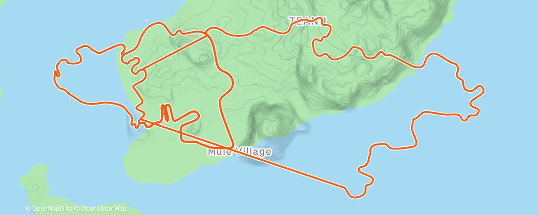 Карта физической активности (Zwift - Triple Flat Loops in Watopia)