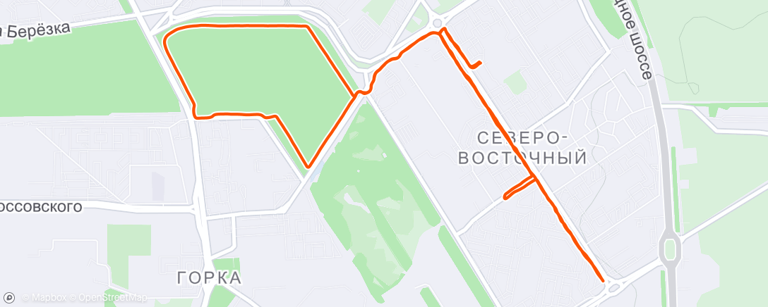 Mapa de la actividad (Evening Run)