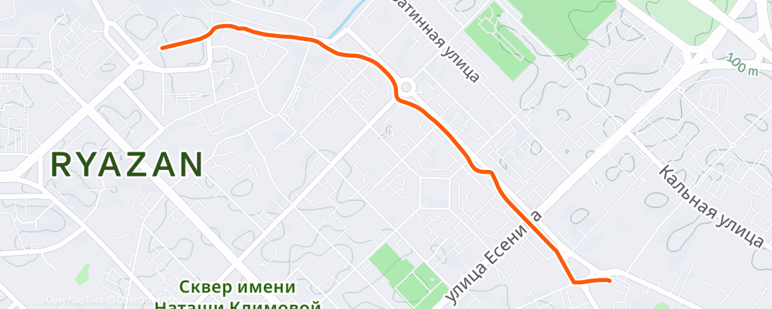 Карта физической активности (Утренняя прогулка)