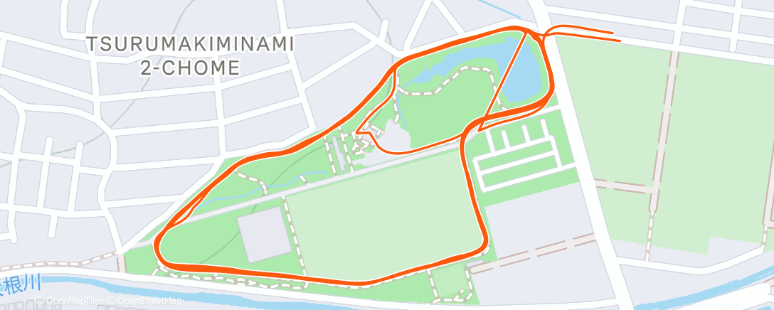 Карта физической активности (Tempo 10k)