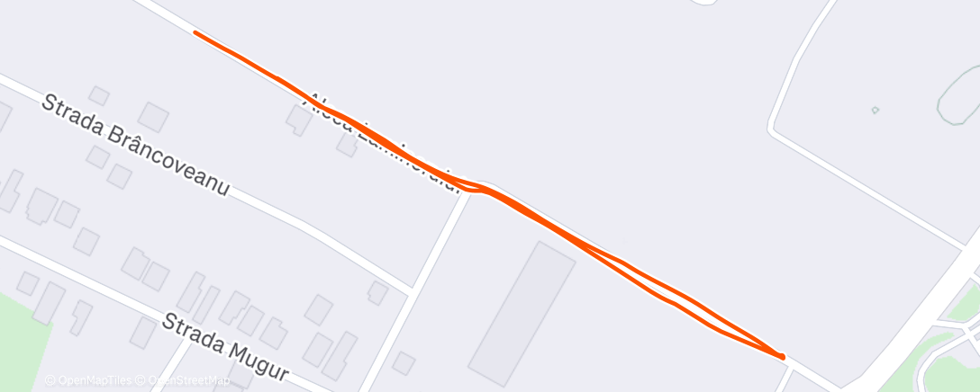 Map of the activity, Afternoon Walk