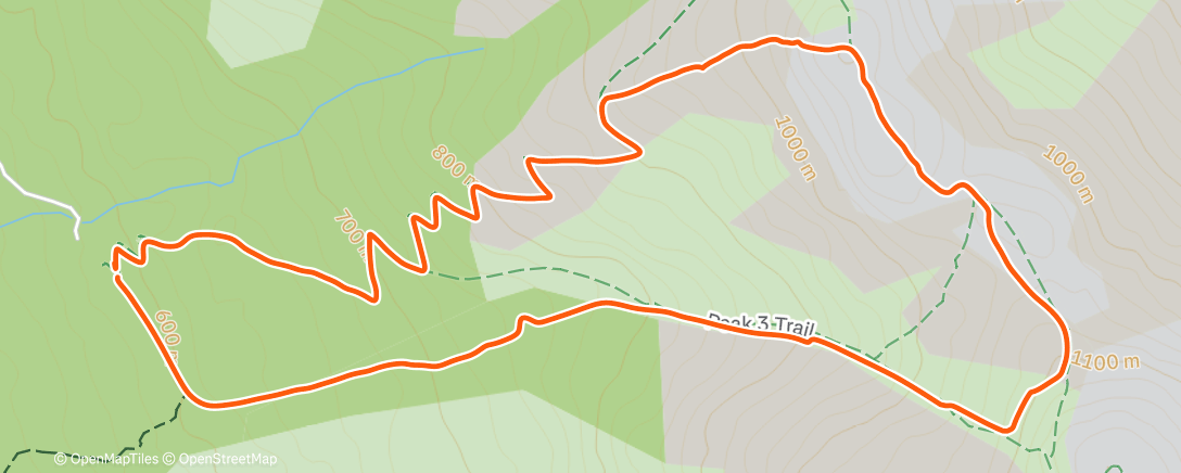 Greta Reese | Strava Runner Profile