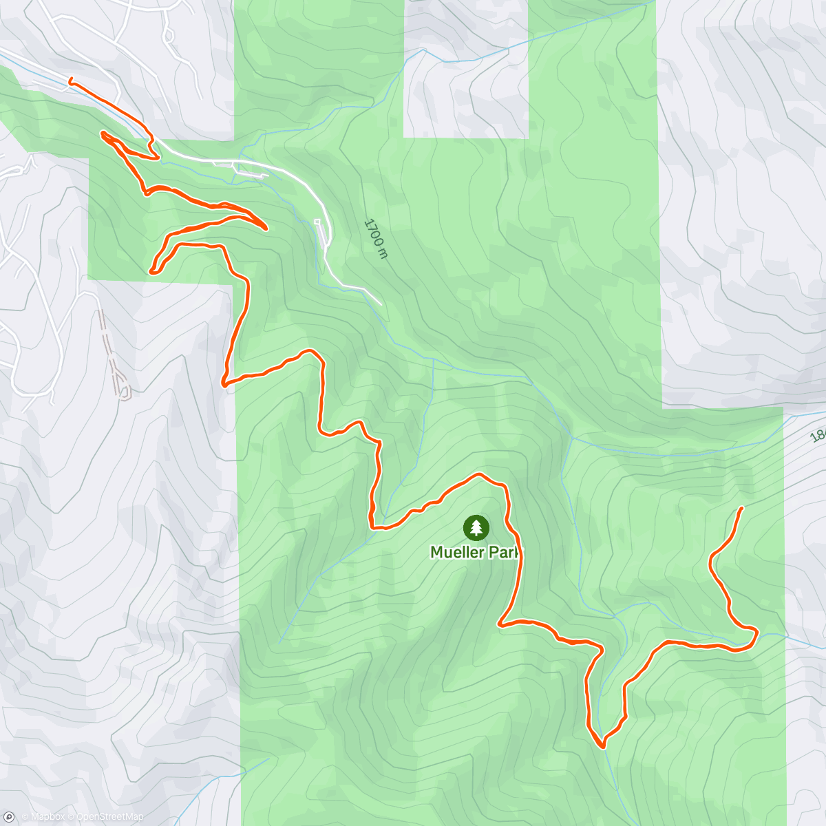 Map of the activity, Mueller