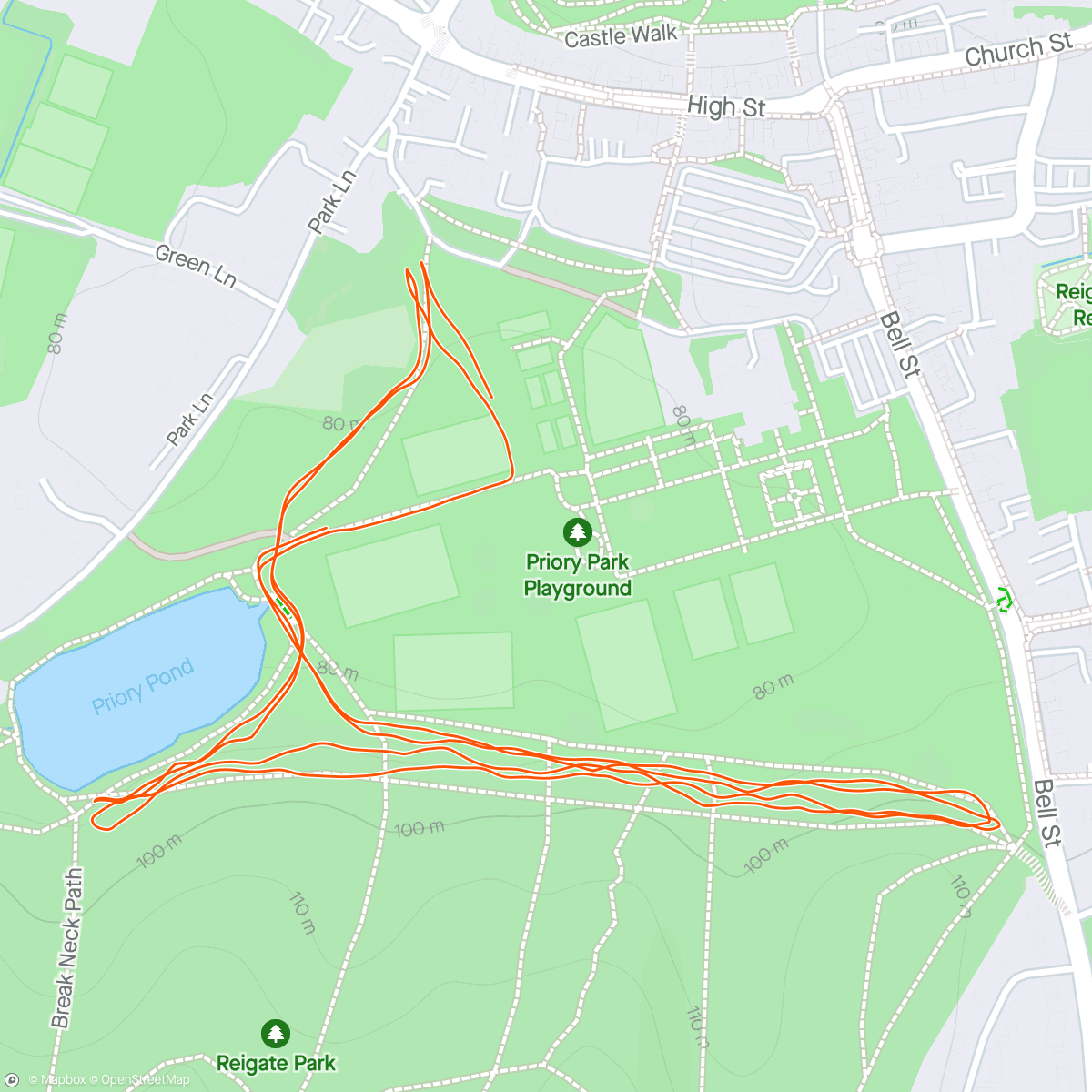 Mapa de la actividad (5k Reigate Priory Parkrun)