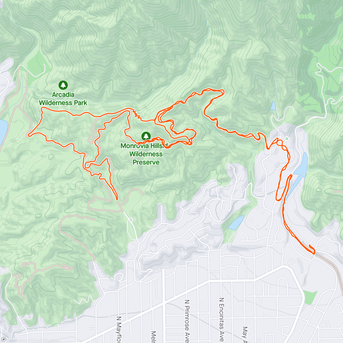 Map of the activity, Just out to ride