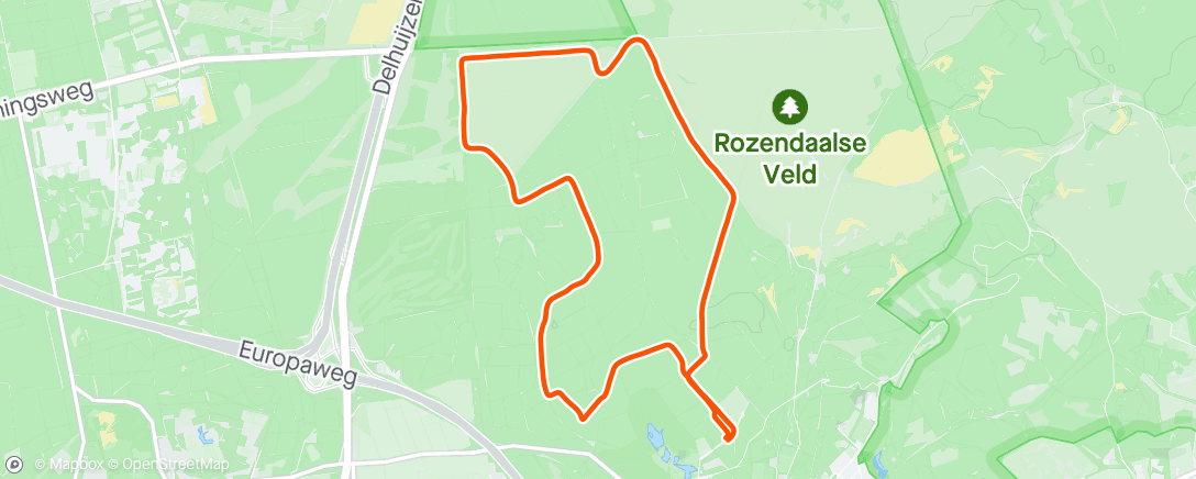 Map of the activity, Evening Run