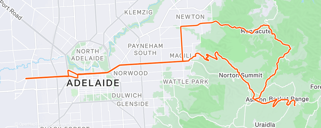 「SWARM」活動的地圖