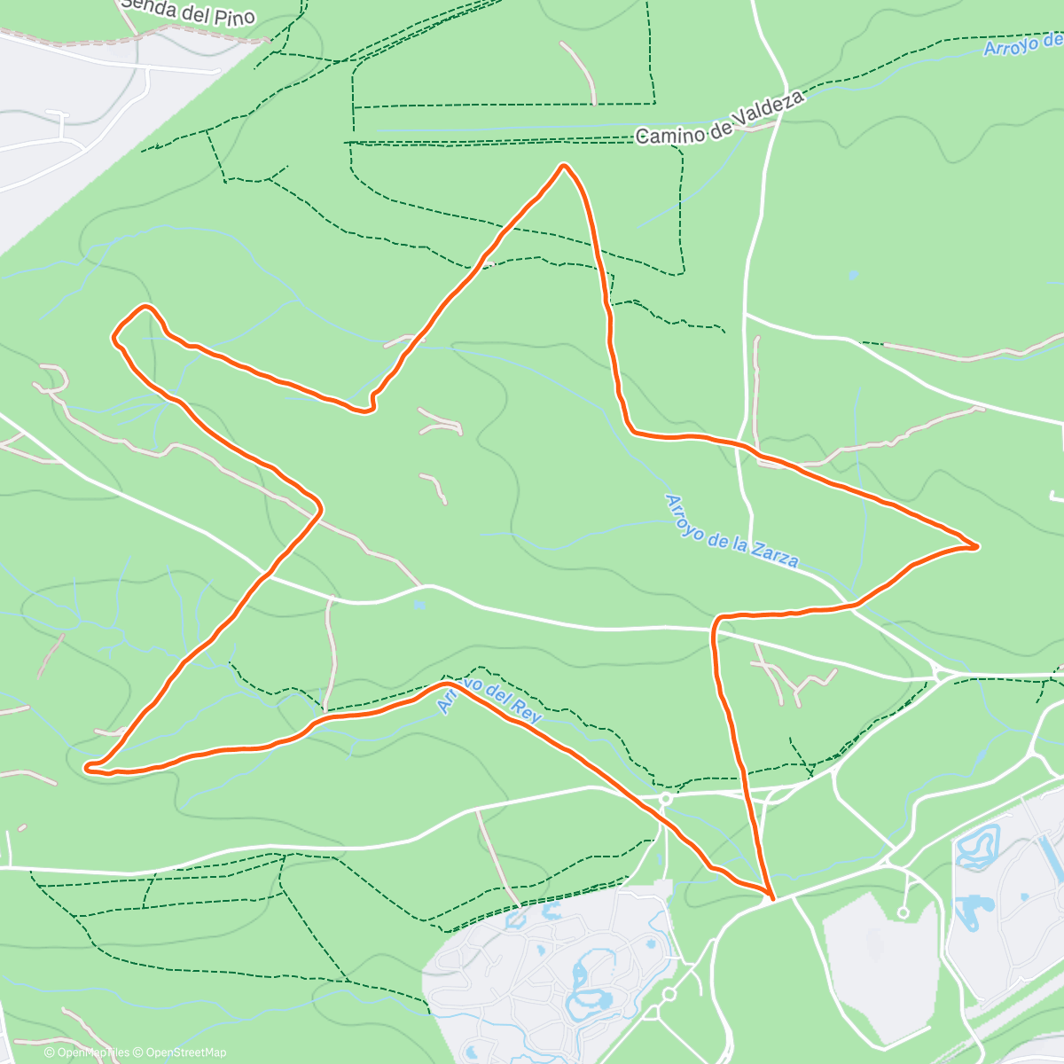 Map of the activity, Mad Night #6