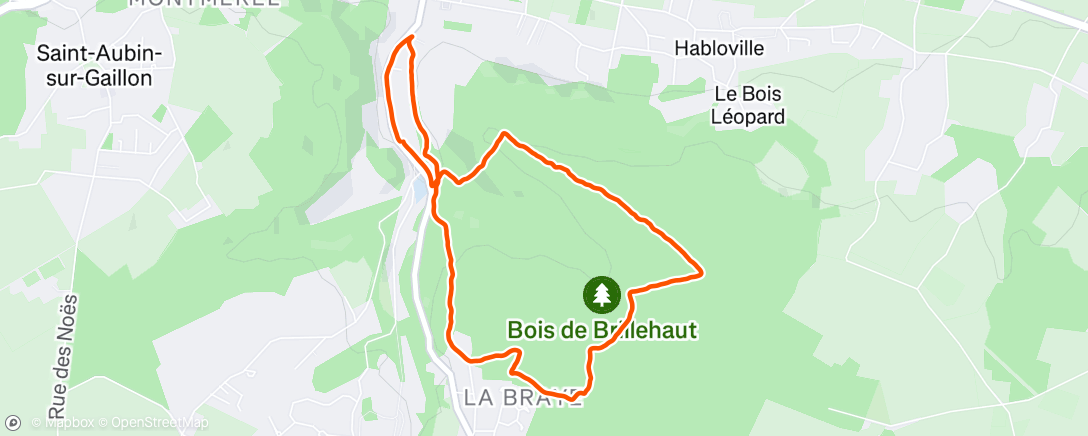 Map of the activity, Morning Run