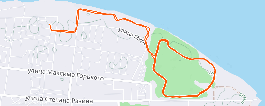 Mapa de la actividad (Полуденный забег)