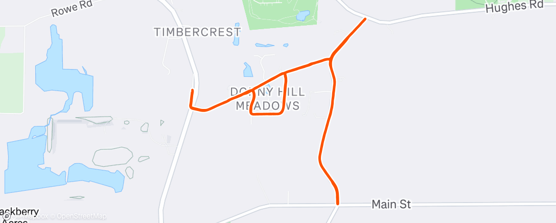 Карта физической активности (Foggy Rain)