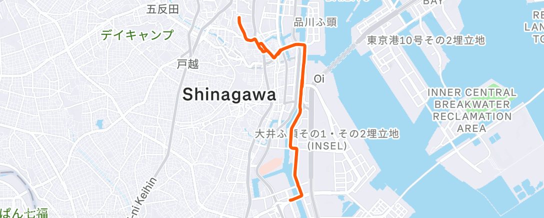 Карта физической активности (Полуденный забег)