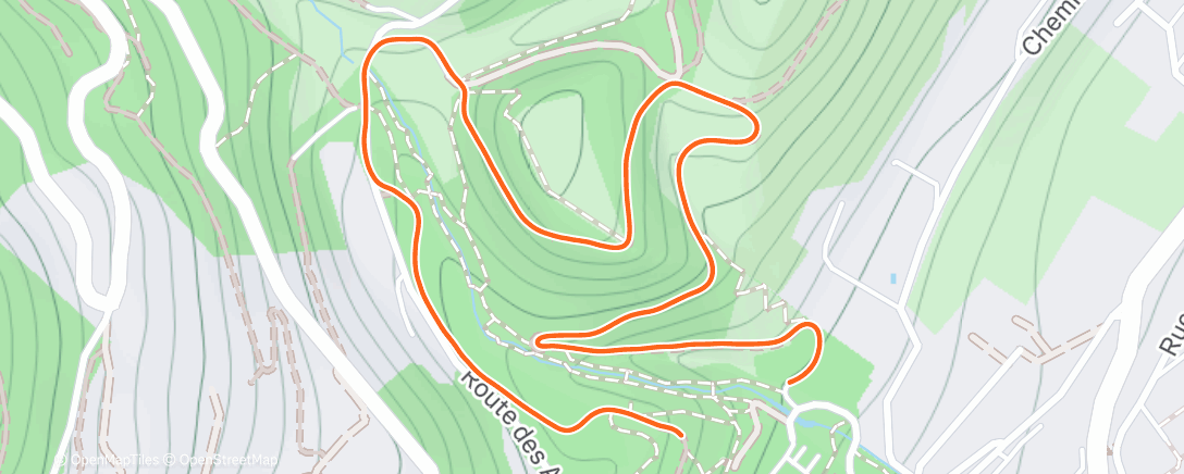 Map of the activity, Coaching ema