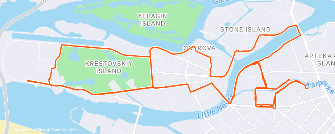 Карта физической активности (Morning Run)