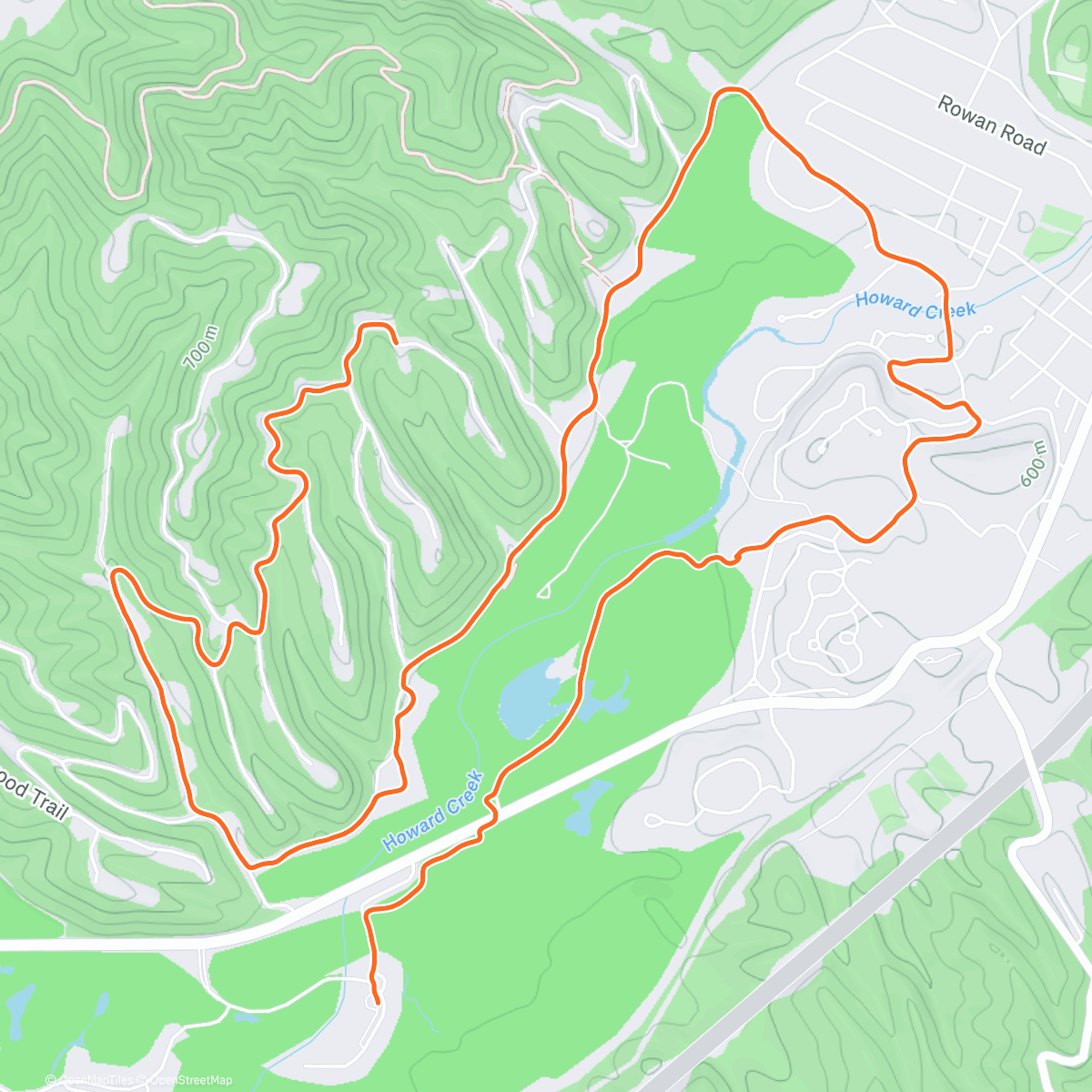 Map of the activity, Happy New Year Everyone!