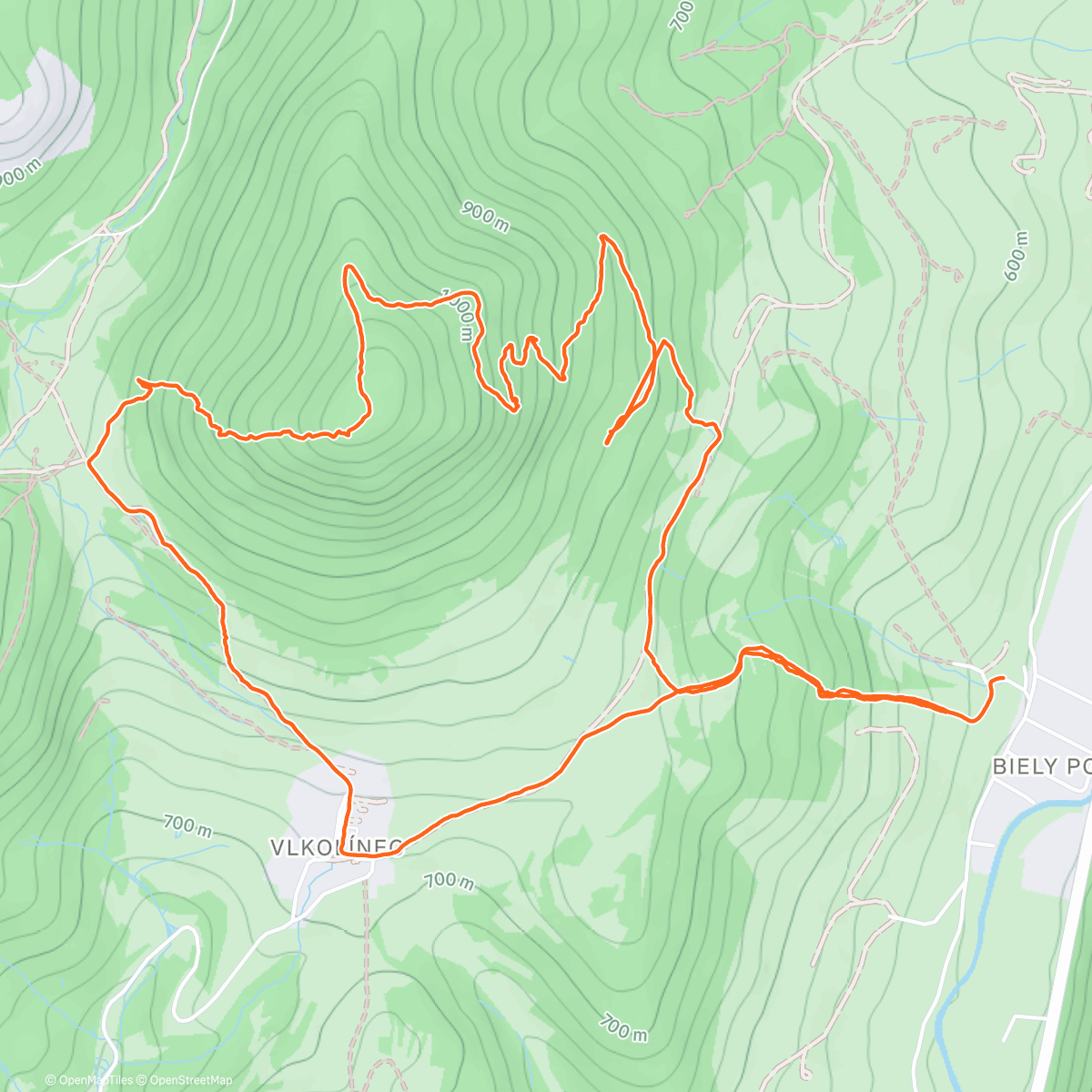 Карта физической активности (Sidorovo)