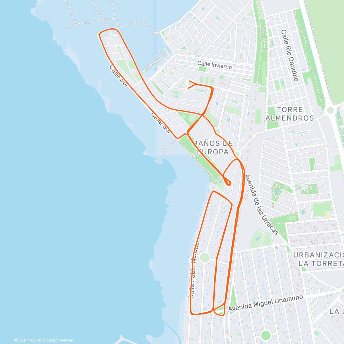 Карта физической активности (Morning Trail Run)