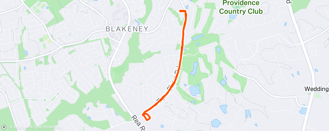 Map of the activity, Morning Run