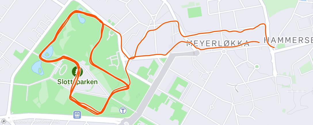 Map of the activity, Evening Run