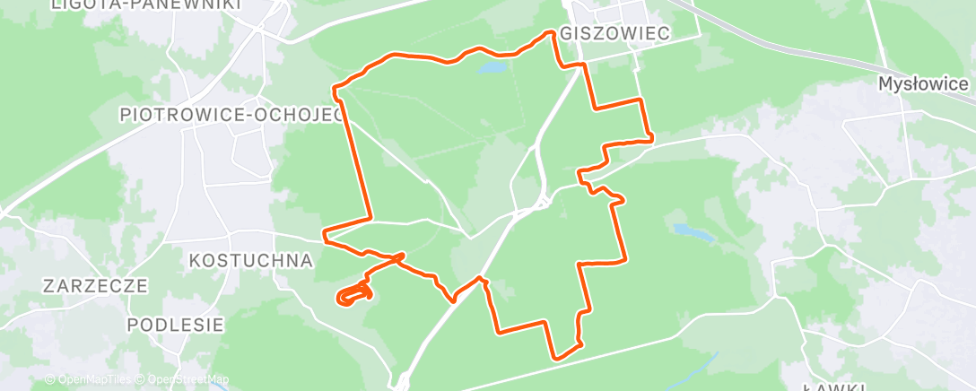 Карта физической активности (Afternoon Trail Run)