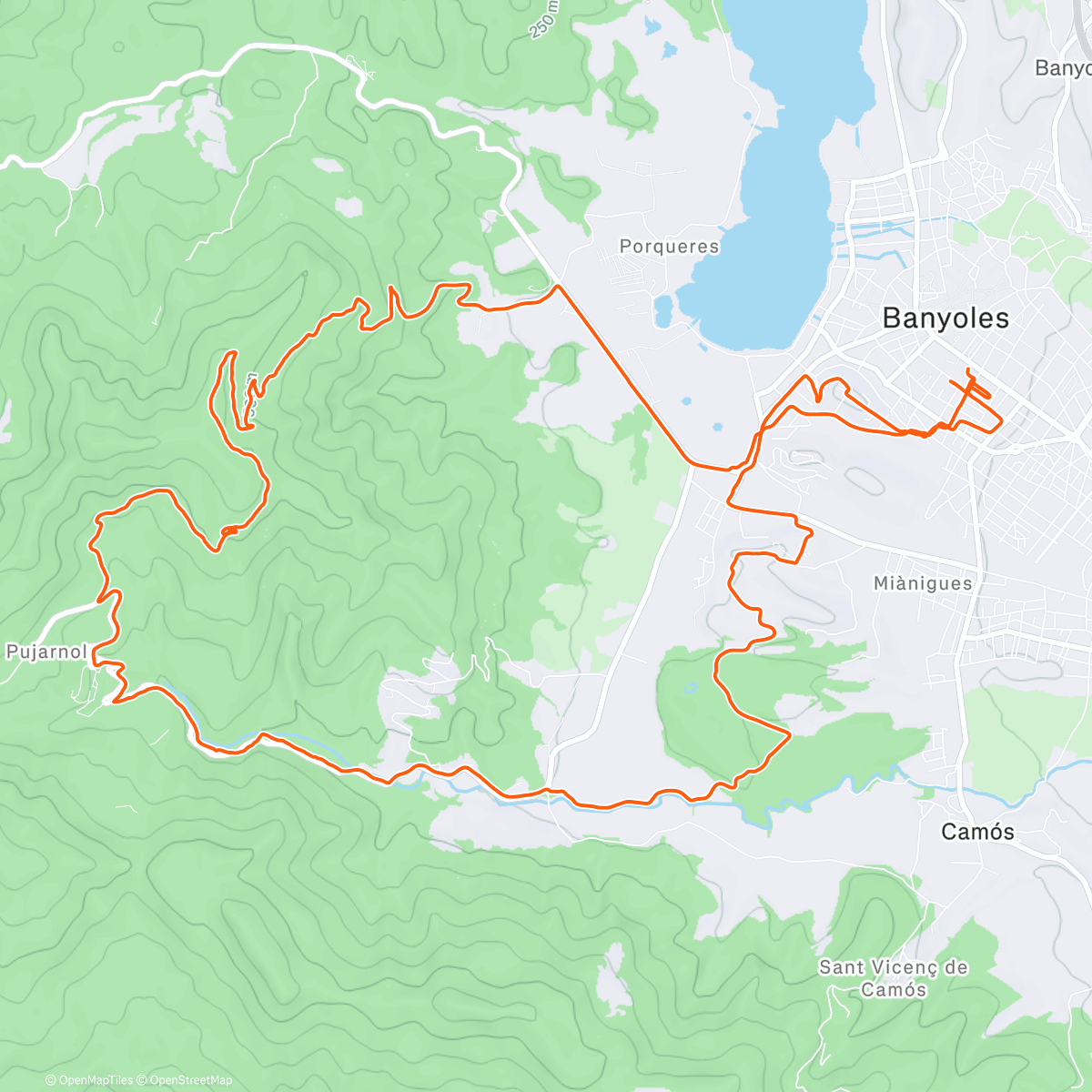Карта физической активности (B t T xafarranxu)