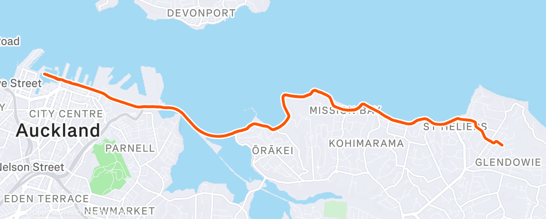 Map of the activity, Morning Run
