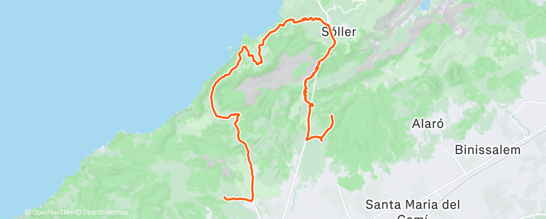 Карта физической активности (Majorka 2)