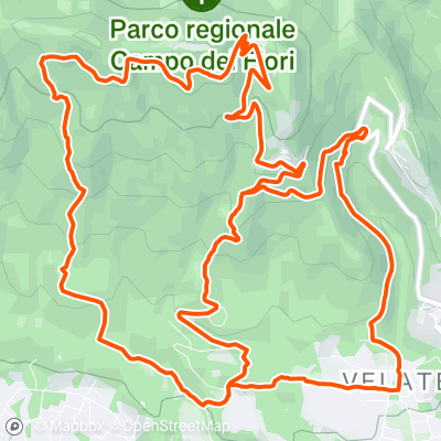 www.strava.com
