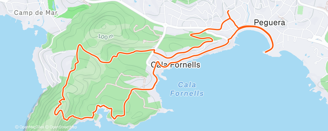 Map of the activity, Morning Trail Run