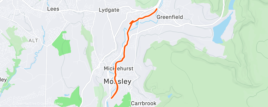 Map of the activity, Festive fartlek🎄🎅
