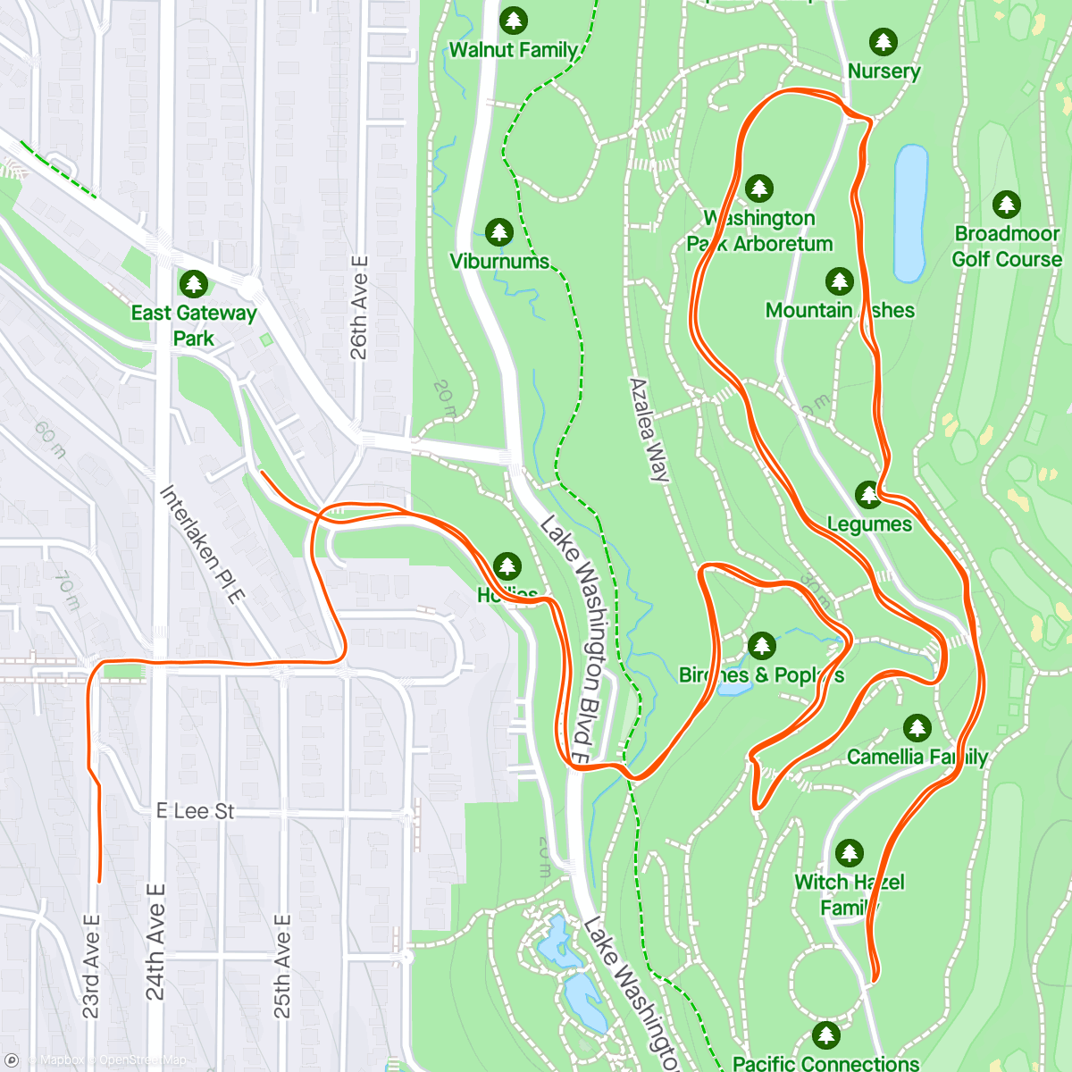Map of the activity, Arboretum with G
