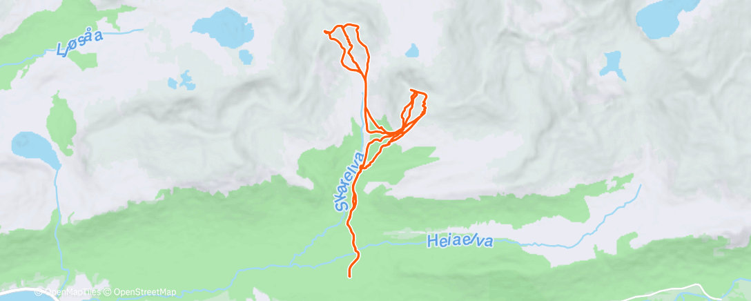 Peta aktivitas, Morning Nordic Ski