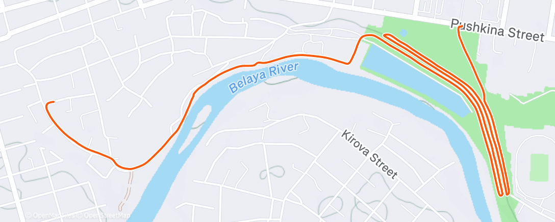 Карта физической активности (Дневная прогулка)