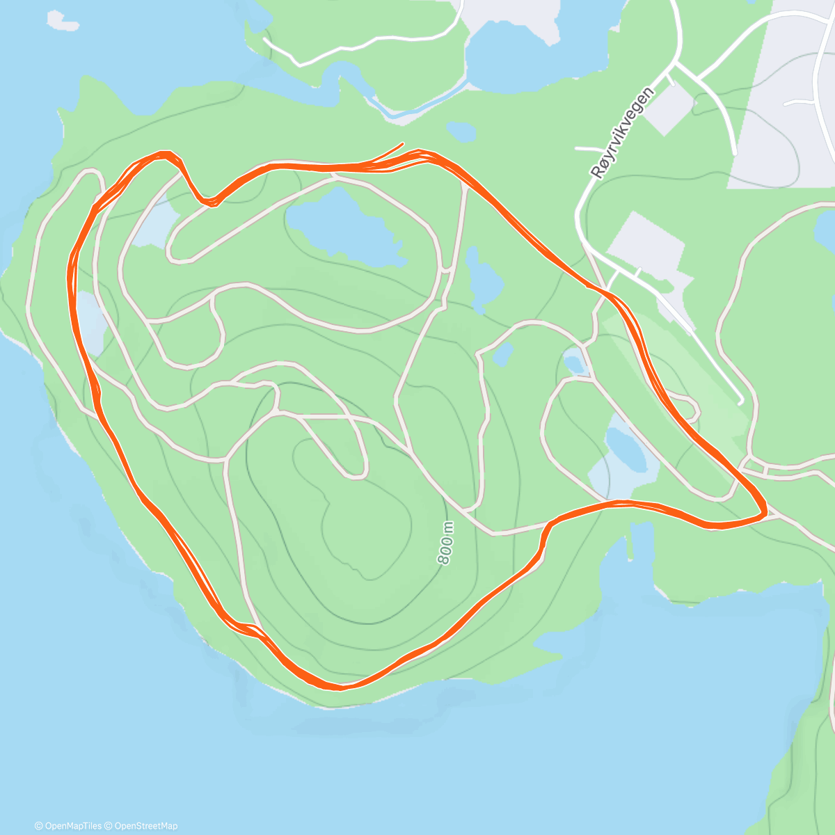 Карта физической активности (Morning Nordic Ski)