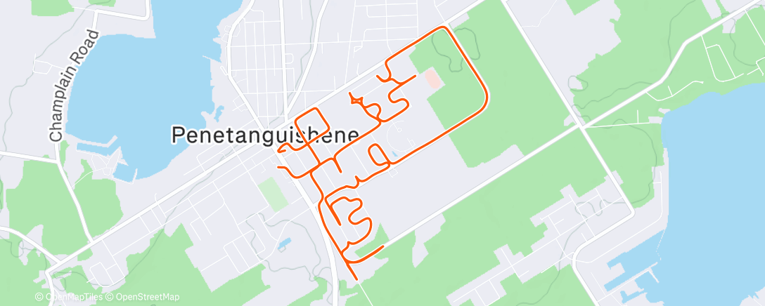 Карта физической активности (Easy Days Easy 🥶)