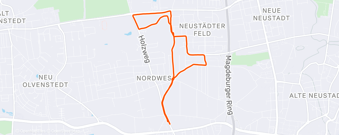 Карта физической активности (Morning Run)