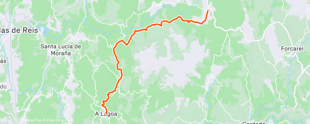 Карта физической активности (Codeseda)