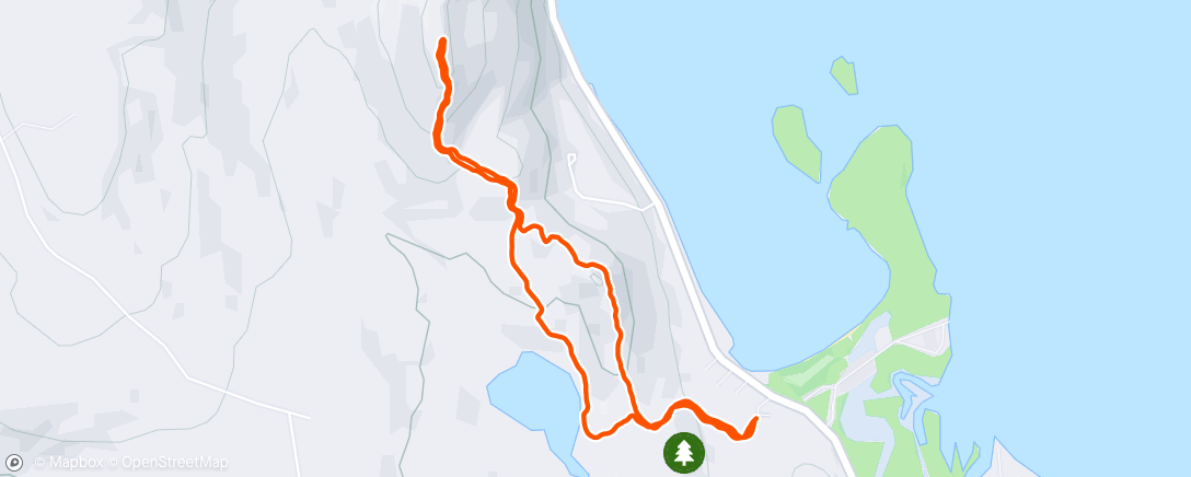 Map of the activity, Backyard Gems