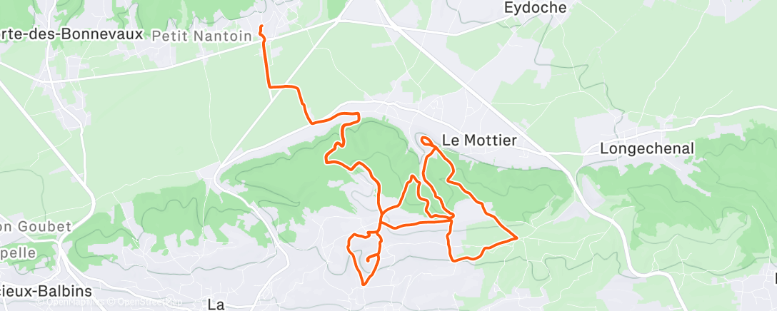 Map of the activity, Morning Trail Run