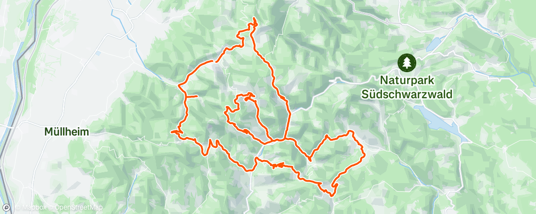 Map of the activity, That must be love 😏😅