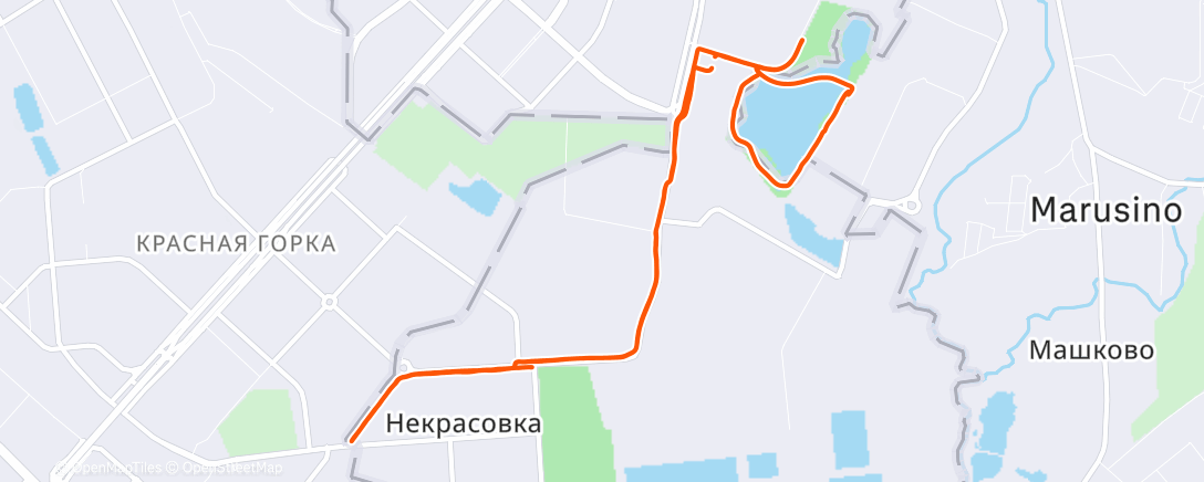 Карта физической активности (Полуденный забег)