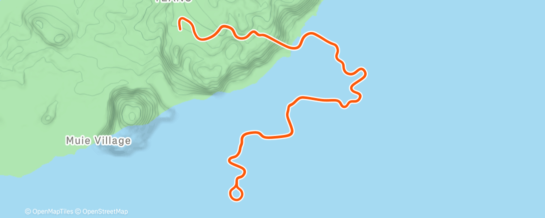 Map of the activity, Zwift - Tempus Fugit in Watopia