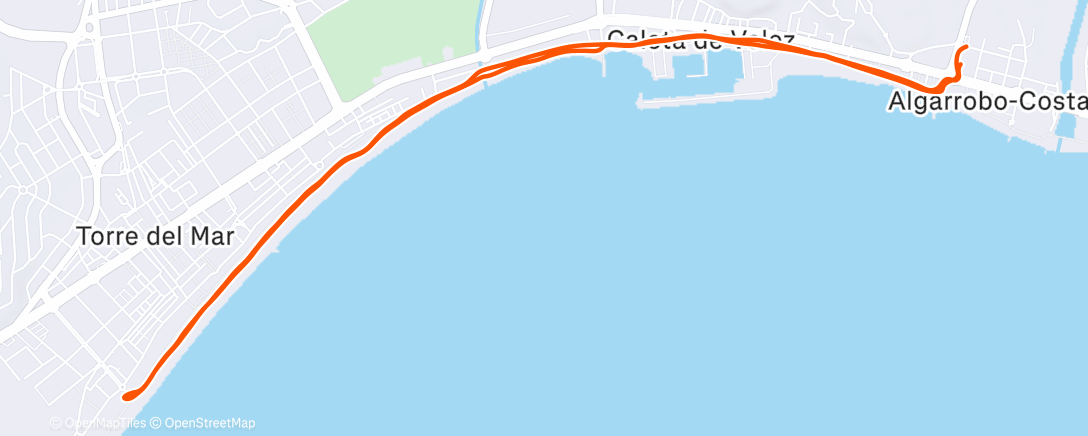 Карта физической активности (Afternoon Run - Endurance Z2 OTB)