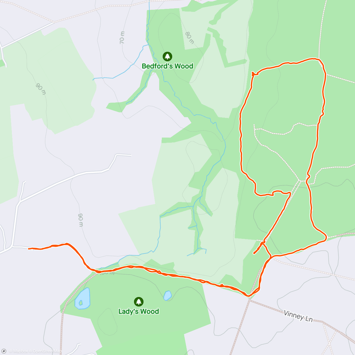 Map of the activity, Lost in Lower Woods